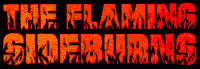 logo The Flaming Sideburns